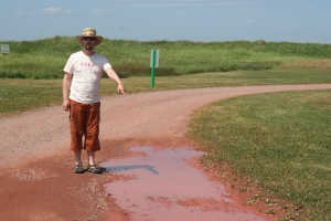 P.E.I. has Red Puddles